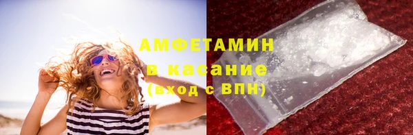 тгк Инсар