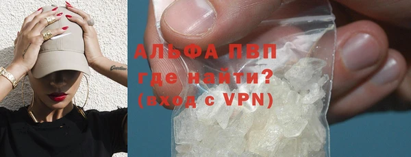 тгк Инсар