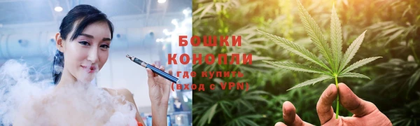 тгк Инсар