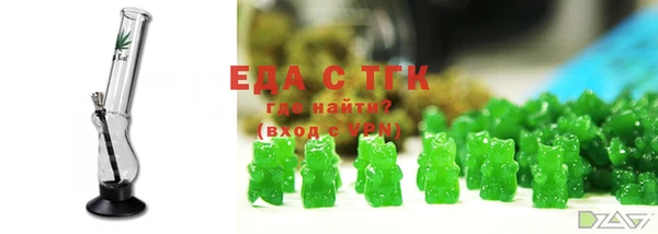 тгк Инсар