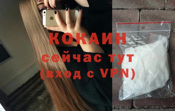 тгк Инсар
