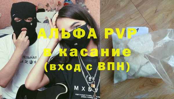 ПСИЛОЦИБИНОВЫЕ ГРИБЫ Иннополис