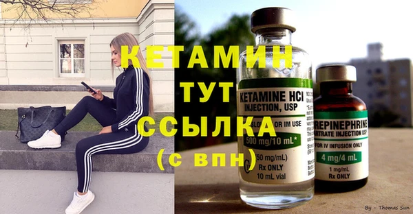 тгк Инсар